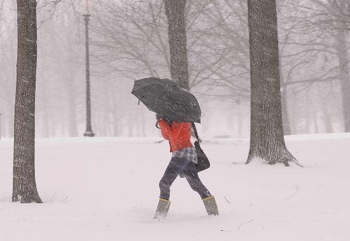 暴風(fēng)雪襲擊美國東海岸 積雪將達50厘米