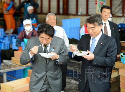 安倍再赴地震災區(qū)視察吃當?shù)靥禺a(chǎn)稱有利于健康