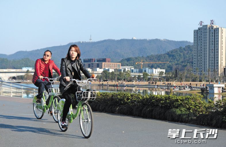 梅溪湖畔，市民們騎著共享單車(chē)賞景。長(zhǎng)沙晚報(bào)記者 鄒麟 攝