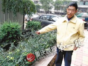 孩子從高空墜下掉進(jìn)花臺留下明顯凹痕