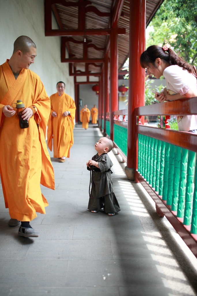 西禪寺超萌&apos;小和尚&apos;爆紅網(wǎng)絡(luò)